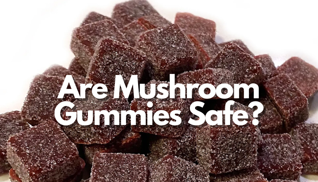Are Mushroom Gummies Safe?