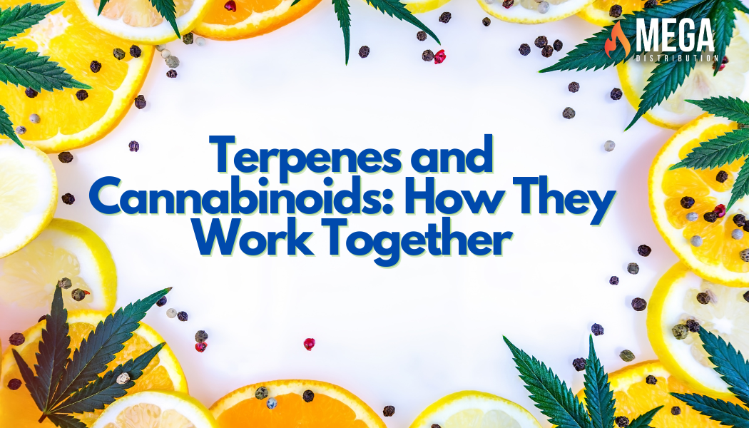 Terpenes and Cannabinoids: How They Work Together