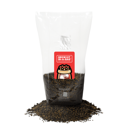Mushroom Grow Kit In-A-Bag