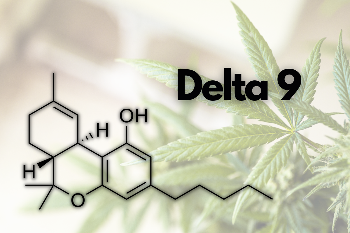What is Delta 9?