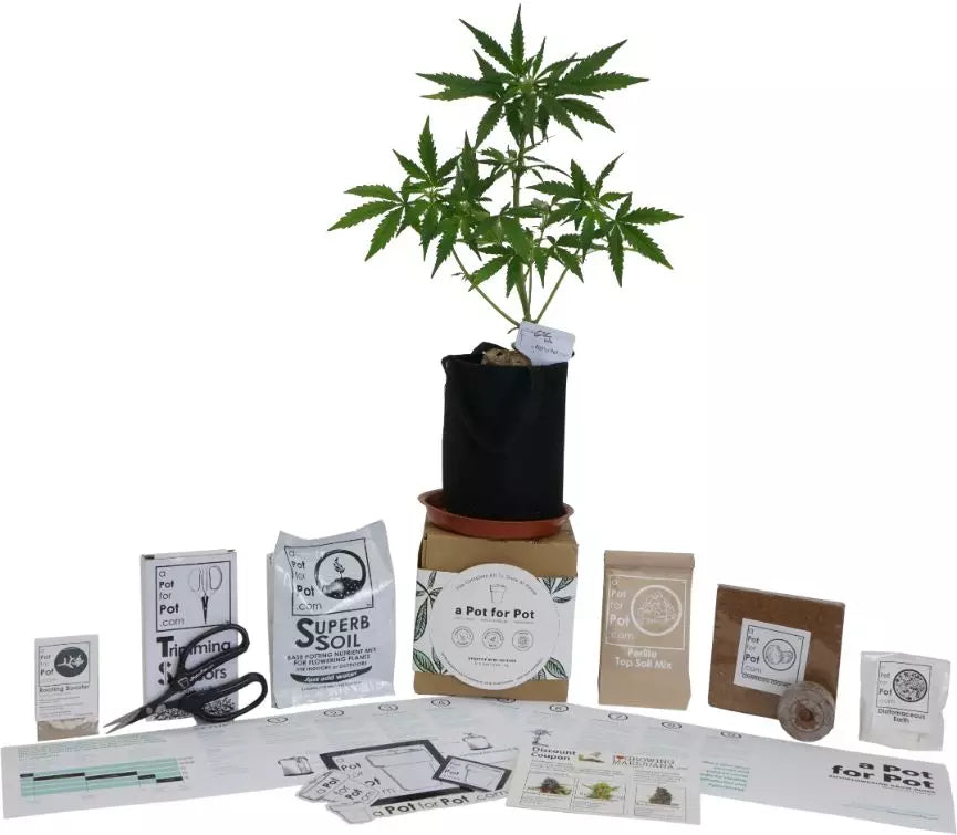 A Pot For Pot Complete Grow Kit