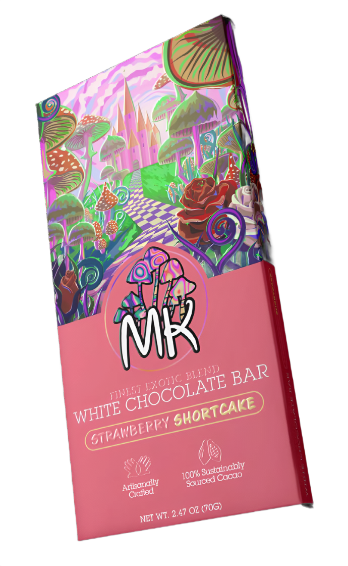 Magic Kingdom FUNctional Blend Chocolate Bar