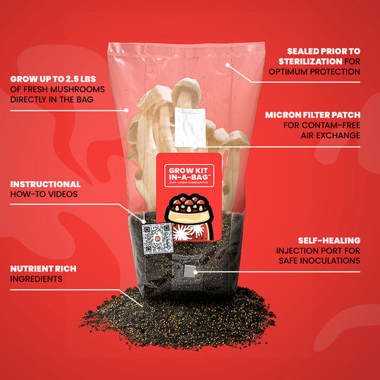 Mushroom Grow Kit In-A-Bag