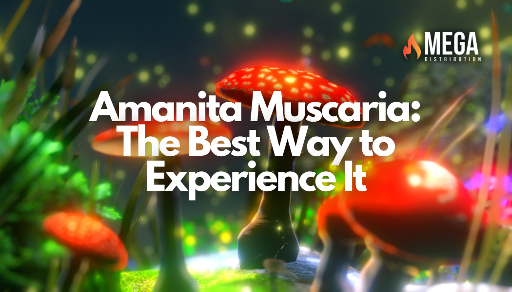 Amanita Muscaria: The Best Way to Experience It