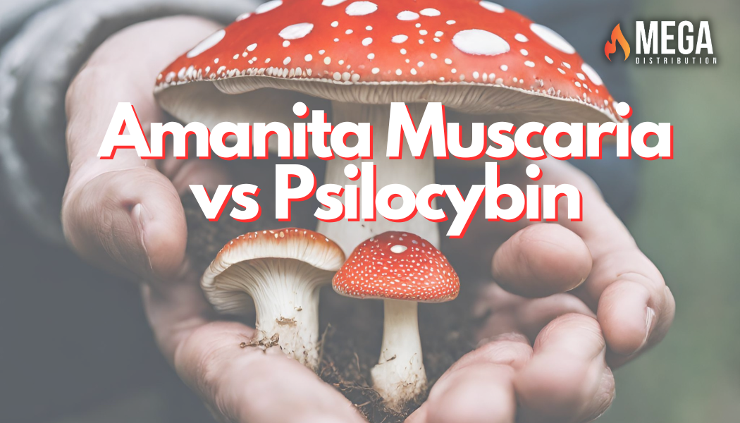 Amanita Muscaria vs. Psilocybin