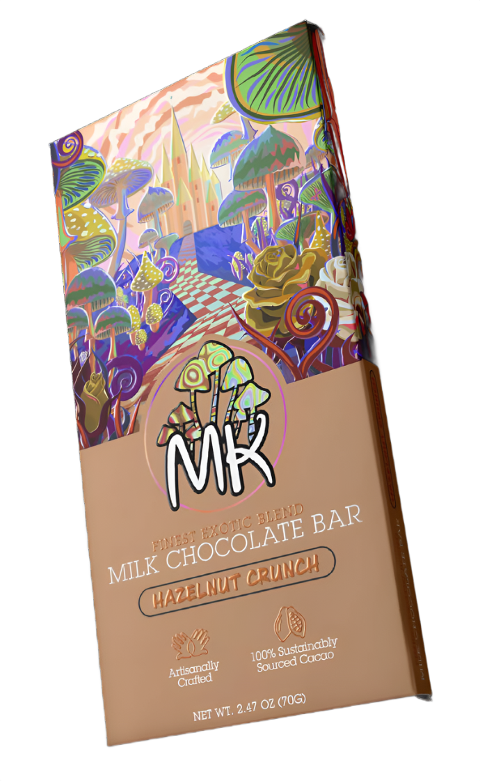 Magic Kingdom FUNctional Blend Chocolate Bar