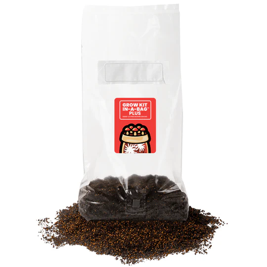 Mushroom Grow Kit In-A-Bag PLUS