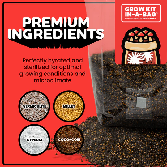 Mushroom Grow Kit In-A-Bag PLUS