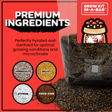 Mushroom Grow Kit In-A-Bag PLUS