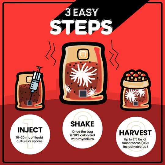 Mushroom Grow Kit In-A-Bag PLUS