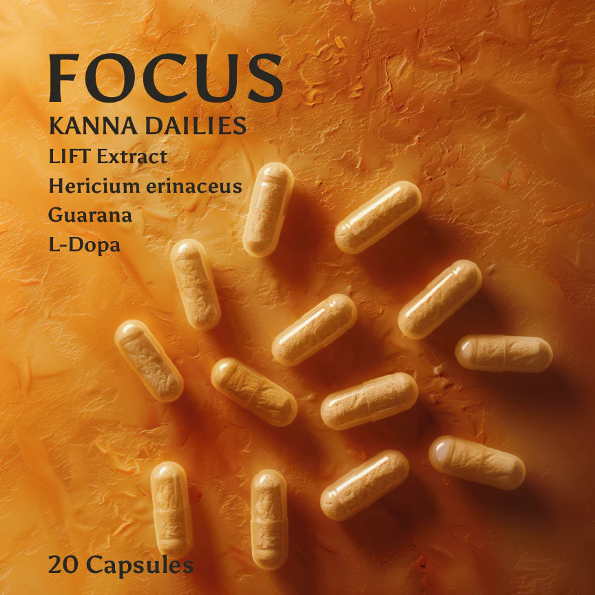 Kanna Extract FOCUS Capsules 20ct