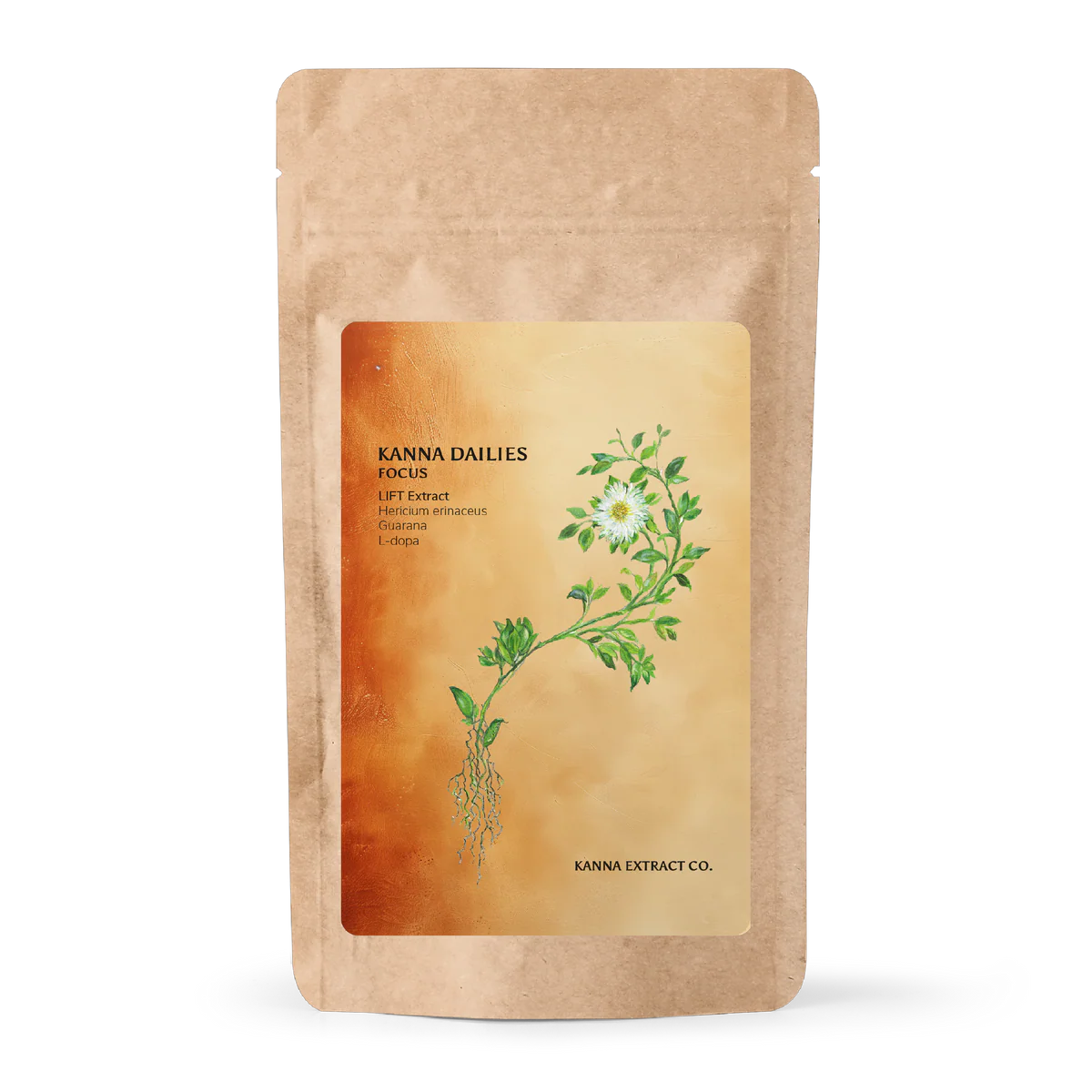 Kanna Extract FOCUS Capsules 20ct