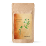 Kanna Extract FOCUS Capsules 20ct